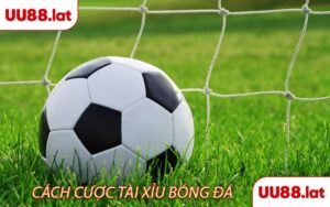 Các loại kèo bóng đá tài xỉu