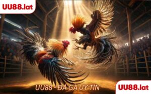 UU88 - Đá gà uy tín