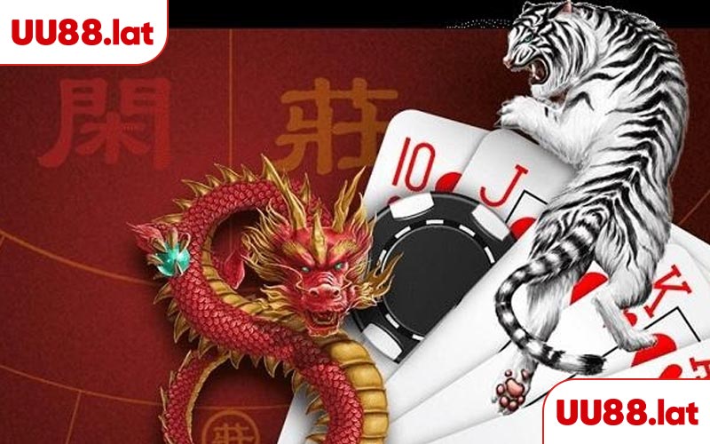 Hướng dẫn cách chơi Rồng hổ cơ bản