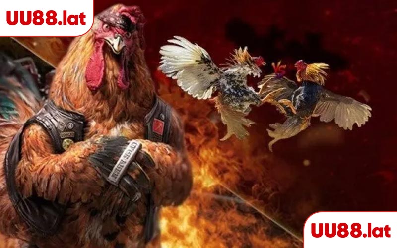 Những game đá gà uy tín tại UU88 được ưa chuộng
